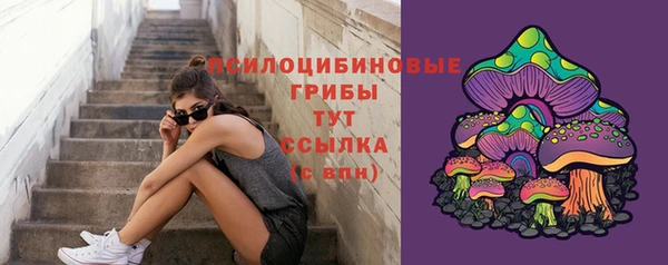 тгк Нязепетровск