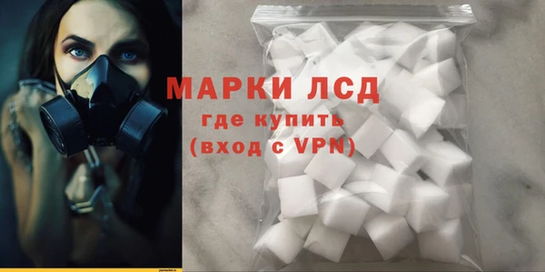 шишки Усолье-Сибирское