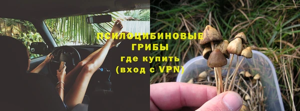 тгк Нязепетровск